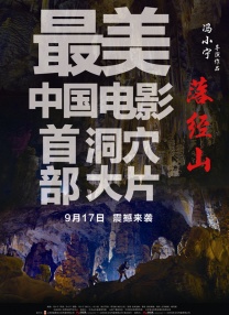 五月婷婷综合网